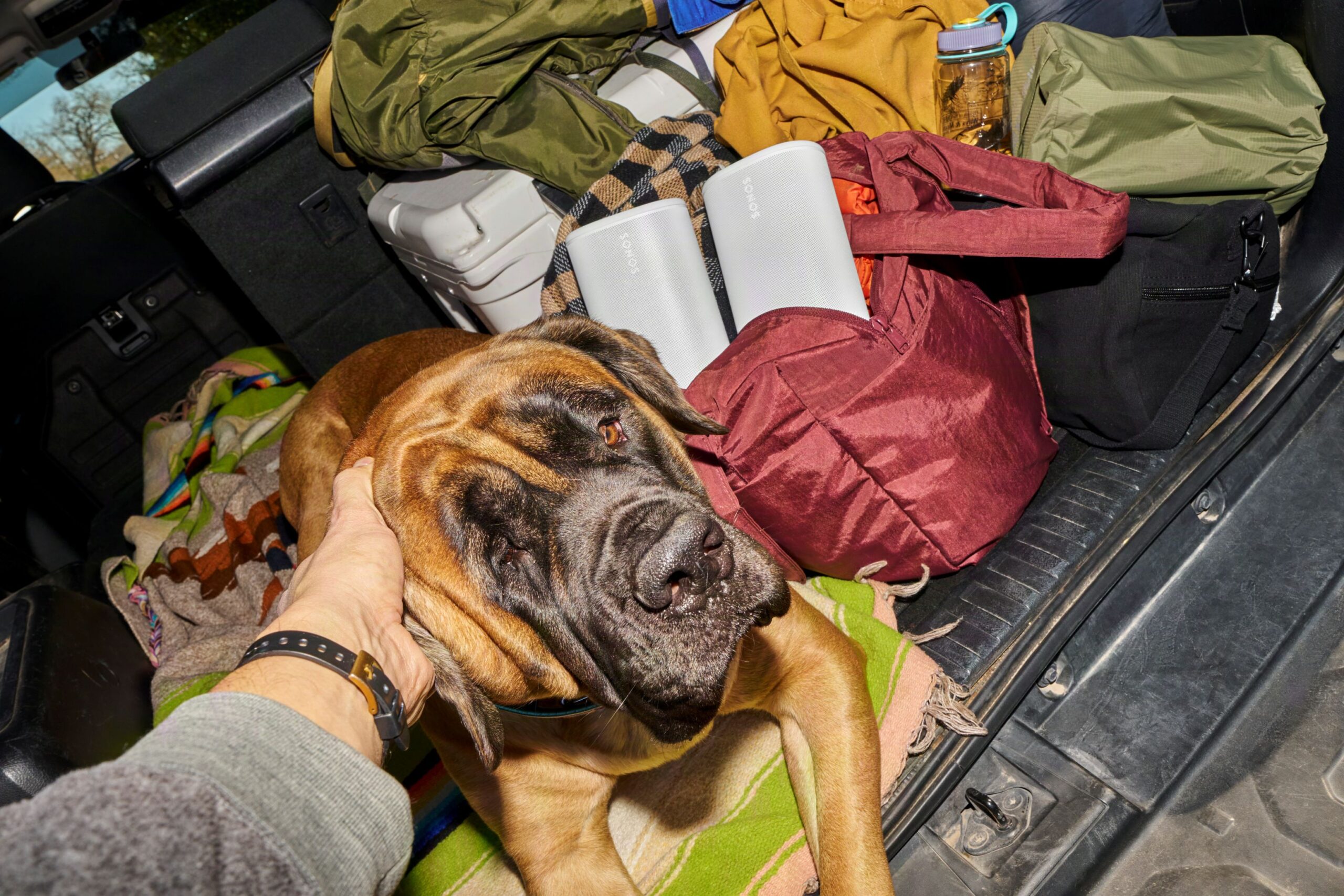 Sonos Play - Car Packing
